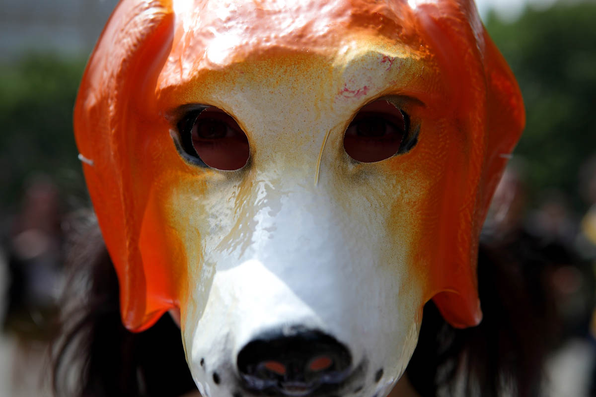 «Акция в защиту животных и Парад вегетарианцев» Репортаж от фотографа с места событий